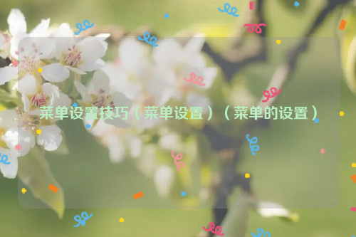 菜单设置技巧（菜单设置）（菜单的设置）