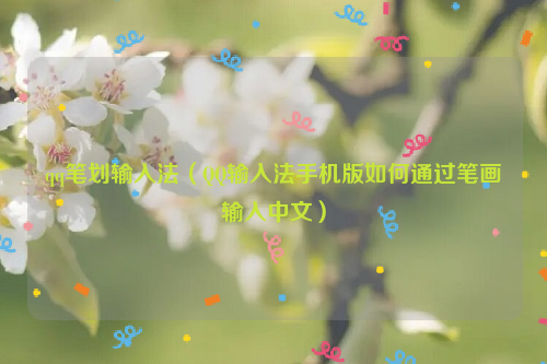 qq笔划输入法（QQ输入法手机版如何通过笔画输入中文）