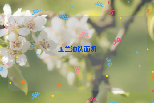 玉兰油洗面奶