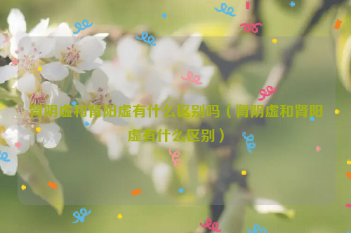 肾阴虚和肾阳虚有什么区别吗（肾阴虚和肾阳虚有什么区别）