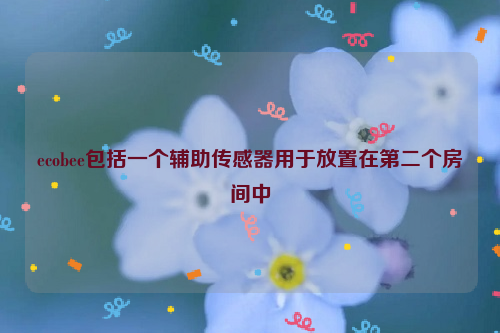 ecobee包括一个辅助传感器用于放置在第二个房间中