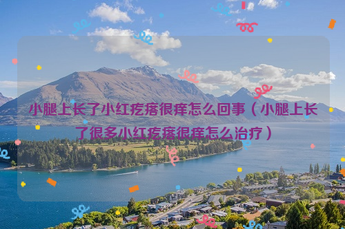 小腿上长了小红疙瘩很痒怎么回事（小腿上长了很多小红疙瘩很痒怎么治疗）