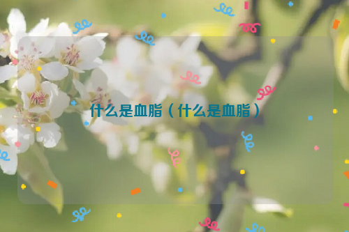 什么是血脂（什么是血脂）