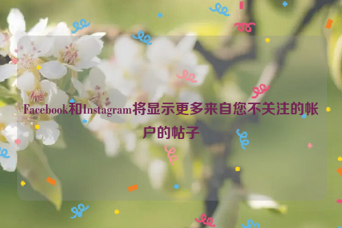 Facebook和Instagram将显示更多来自您不关注的帐户的帖子