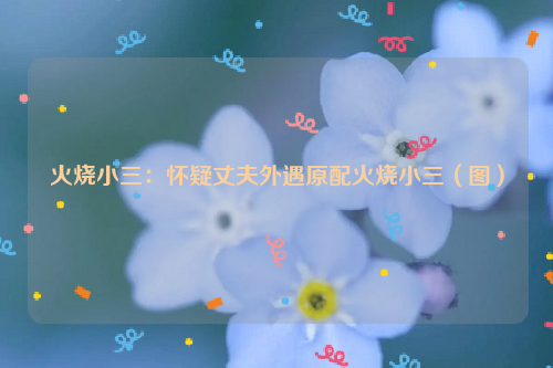火烧小三：怀疑丈夫外遇原配火烧小三（图）