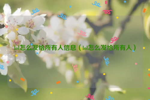 lol怎么发给所有人信息（lol怎么发给所有人）