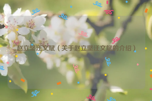 赵立坚汪文斌（关于赵立坚汪文斌的介绍）