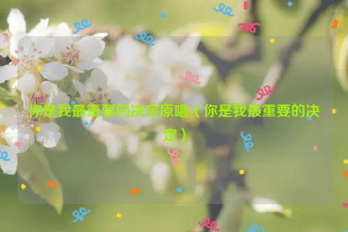 你是我最重要的决定原唱（你是我最重要的决定）