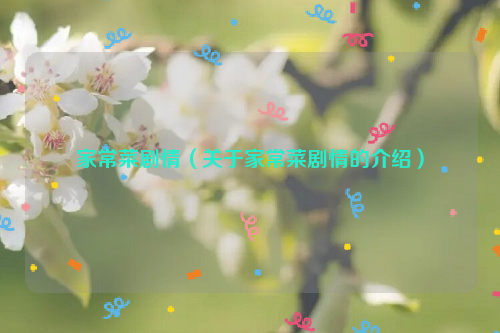 家常菜剧情（关于家常菜剧情的介绍）