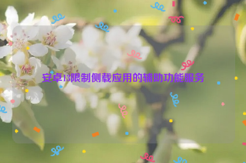 安卓13限制侧载应用的辅助功能服务