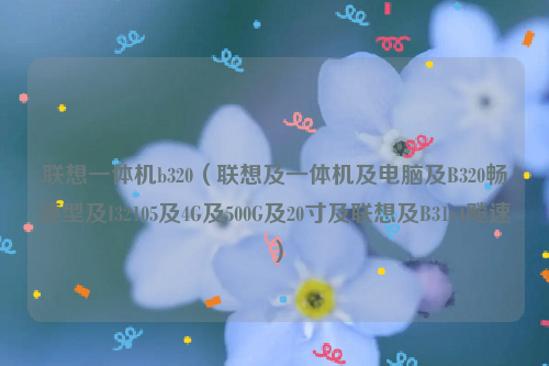联想一体机b320（联想及一体机及电脑及B320畅速型及I32105及4G及500G及20寸及联想及B31r4飚速）