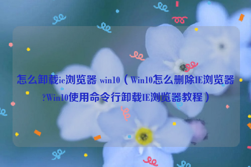 怎么卸载ie浏览器 win10（Win10怎么删除IE浏览器?Win10使用命令行卸载IE浏览器教程）