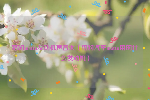 猎豹mattu发动机声音大（猎豹汽车mattu用的什么发动机）