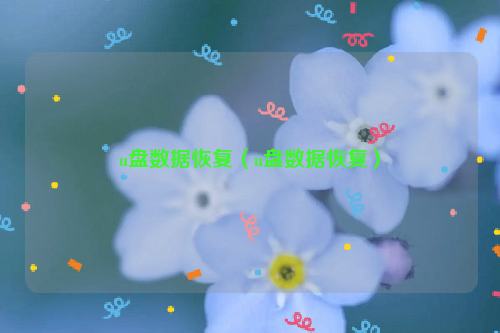u盘数据恢复（u盘数据恢复）