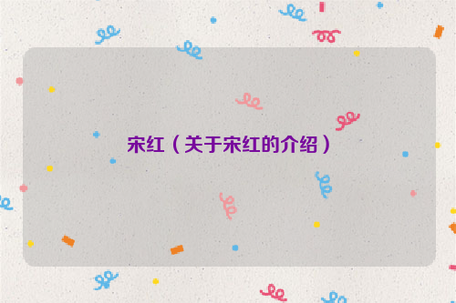 宋红（关于宋红的介绍）