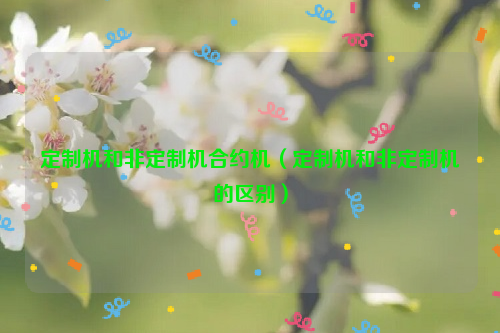 定制机和非定制机合约机（定制机和非定制机的区别）