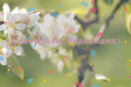 系统盘刻录光盘步骤（系统盘刻录光盘教程）