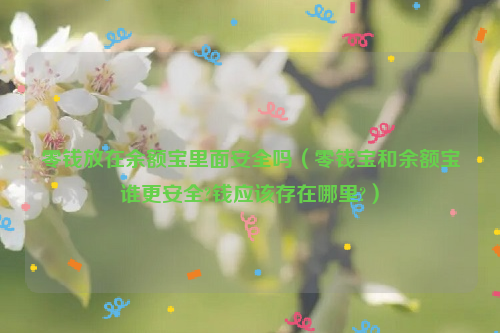 零钱放在余额宝里面安全吗（零钱宝和余额宝谁更安全?钱应该存在哪里?）