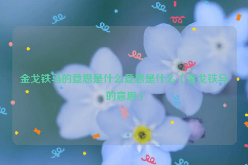 金戈铁马的意思是什么意思是什么（金戈铁马的意思）