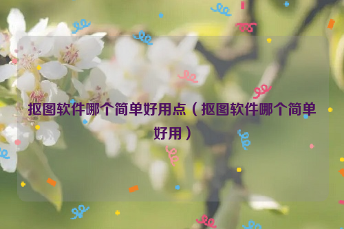 抠图软件哪个简单好用点（抠图软件哪个简单好用）