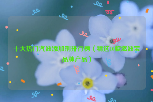 十大热门汽油添加剂排行榜（精选10款燃油宝品牌产品）