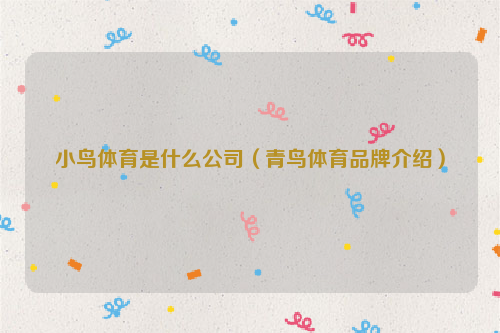 小鸟体育是什么公司（青鸟体育品牌介绍）
