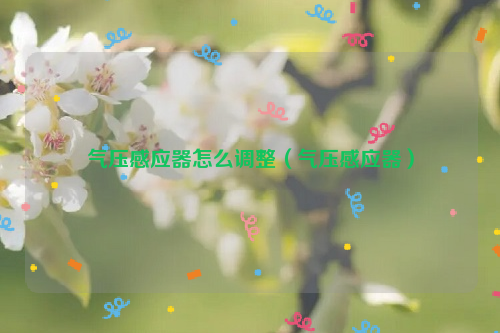 气压感应器怎么调整（气压感应器）