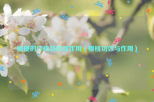 樱桃的作用及功效作用（樱桃功效与作用）
