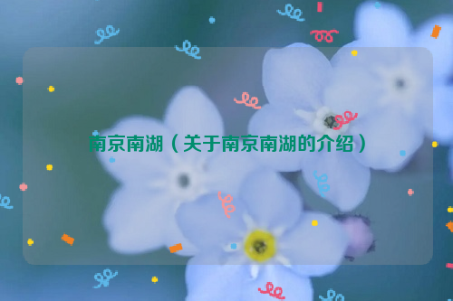 南京南湖（关于南京南湖的介绍）