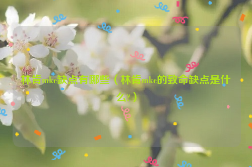 林肯mkc缺点有哪些（林肯mkc的致命缺点是什么?）