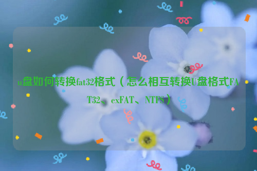 u盘如何转换fat32格式（怎么相互转换U盘格式FAT32、exFAT、NTFS）