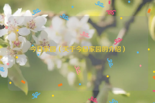 今日家园（关于今日家园的介绍）