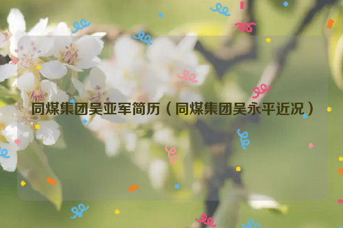同煤集团吴亚军简历（同煤集团吴永平近况）