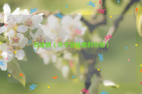 安徒恩（关于安徒恩的介绍）