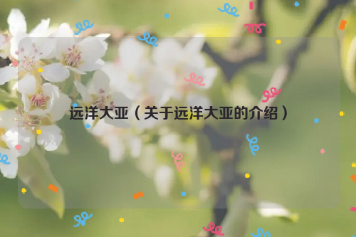 远洋大亚（关于远洋大亚的介绍）