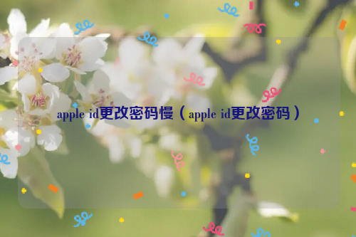 apple id更改密码慢（apple id更改密码）