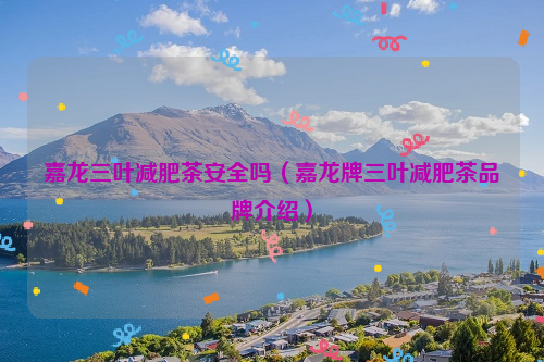 嘉龙三叶减肥茶安全吗（嘉龙牌三叶减肥茶品牌介绍）