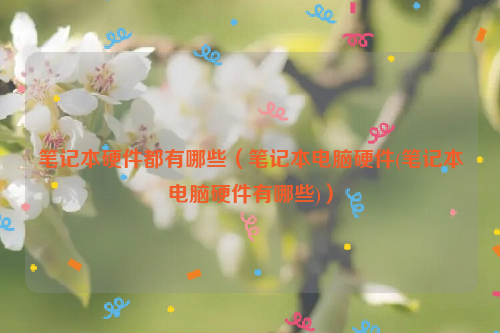 笔记本硬件都有哪些（笔记本电脑硬件(笔记本电脑硬件有哪些)）