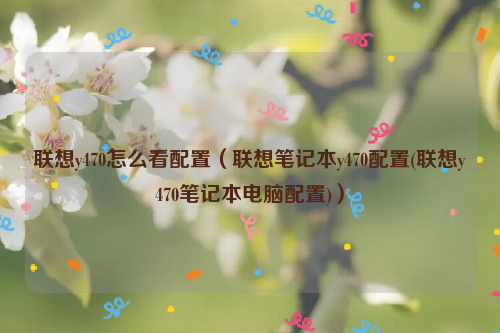 联想y470怎么看配置（联想笔记本y470配置(联想y470笔记本电脑配置)）