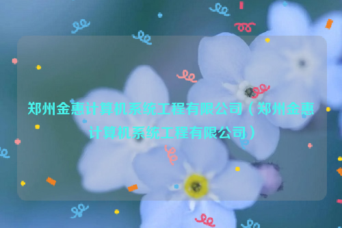 郑州金惠计算机系统工程有限公司（郑州金惠计算机系统工程有限公司）