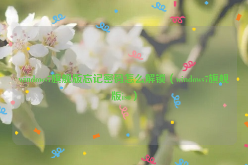 windows7旗舰版忘记密码怎么解锁（windows7旗舰版iso）