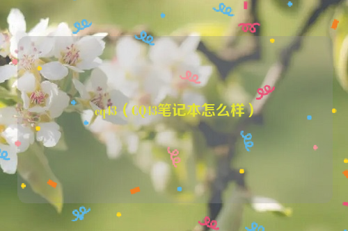 cq43（CQ43笔记本怎么样）