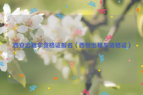 西安出租车资格证报名（西安出租车资格证）