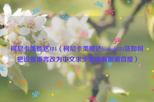 柯尼卡美能达184（柯尼卡美能达bizhub184及如何把设置语言改为中文求步骤图解谢谢百度）