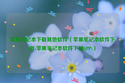 苹果笔记本下载其他软件（苹果笔记本软件下载(苹果笔记本软件下载APP)）