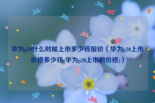 华为p20什么时候上市多少钱报价（华为p20上市价格多少钱(华为p20上市的价格)）