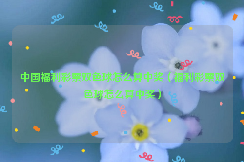 中国福利彩票双色球怎么算中奖（福利彩票双色球怎么算中奖）