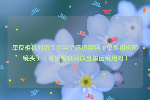 单反相机的镜头能当望远镜用吗（单反相机的镜头）（单反相机可以当望远镜用吗）