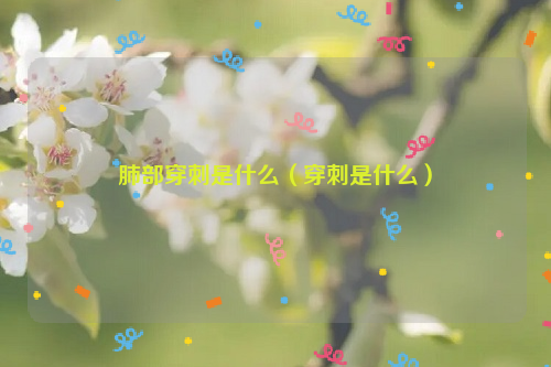 肺部穿刺是什么（穿刺是什么）