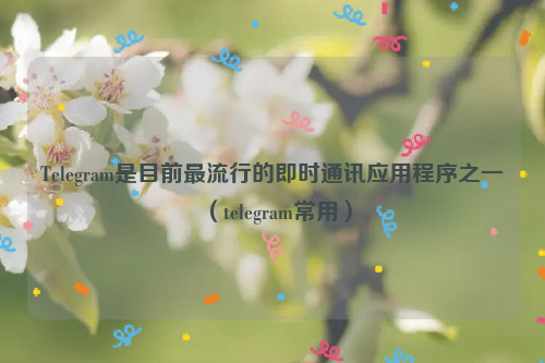 Telegram是目前最流行的即时通讯应用程序之一（telegram常用）